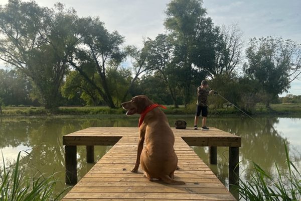 Fishing Pier with Fisherman