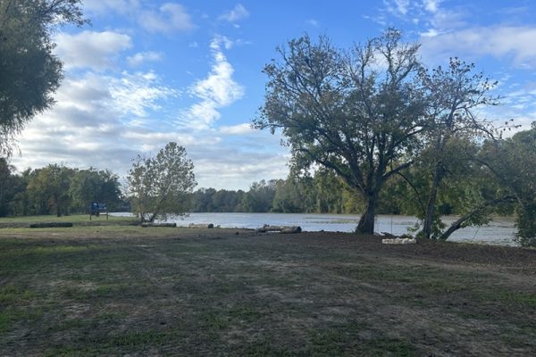 Square - Tent Camping Area 1