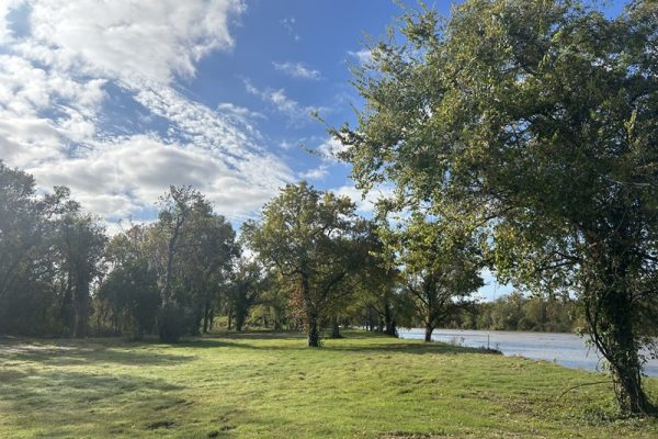 Square - Tent Camping Area 2